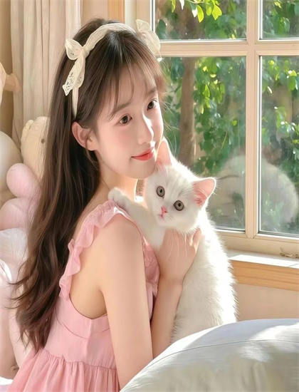 永不道歉的费莱娜媒体评价震撼人心的：主流媒体观点与专业影评解读